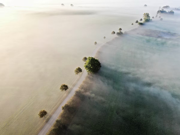 Sương mù mờ ảo bao trùm một con đường ở Kvaerndrup, nằm trên đảo Funen, Đan Mạch.