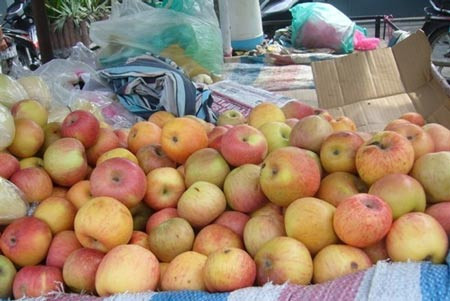 Táo. Theo đăng tải của báo Sina News (Trung Quốc), ở Yên Đài, tỉnh Sơn Đông, nông dân Trung Quốc bị phát hiện đã trồng táo trong các túi có chứa thuốc trừ sâu bất hợp pháp. Họ đã quấn các túi có chứa một lượng lớn các hóa chất dạng bột màu trắng xung quanh những quả táo non trên cây (cùng các loại thuốc trừ sâu tiếp xúc trực tiếp với trái cây), và không dỡ bỏ chúng đi cho đến khi táo đã trưởng thành.