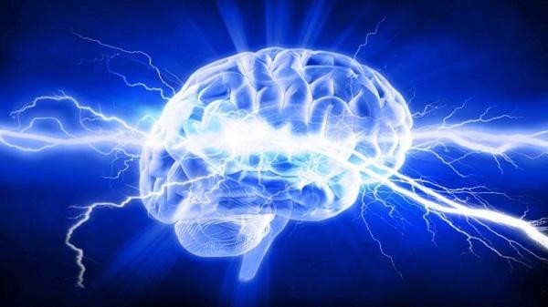 Não bộ. Dù não chỉ chiếm 2% trọng lượng cơ thể nhưng nó lại sử dụng đến 20% oxy và năng lượng của toàn bộ hệ thống các cơ quan trong cơ thể để chỉ huy các hành động, do đó nó được coi là cơ quan quan trọng nhất.