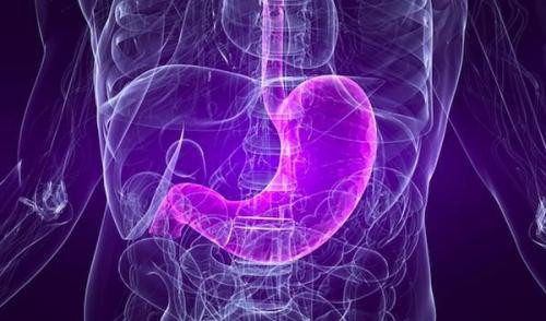 Dạ dày và ruột. Cơ quan chịu trách nhiệm xử lý thực phẩm chuyển vào cơ thể. Loại thực phẩm quan trọng nhất với cơ quan này là chất xơ vì thế mà bạn nên bổ sung tối thiểu 20g chất xơ mỗi ngày.