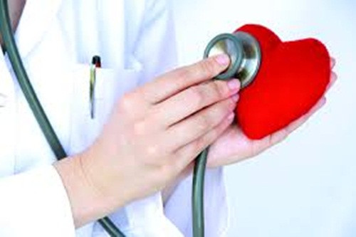 Tim. Là cơ quan bơm máu cho tất cả các bộ phận cơ thể, cung cấp oxy, chất dinh dưỡng và loại bỏ các chất thải. Vì thế mà nó cũng quan trọng chẳng kém não. Cả cơ thể chỉ có một trái tim, vì vậy hãy bảo vệ nó thật khỏe mạnh.