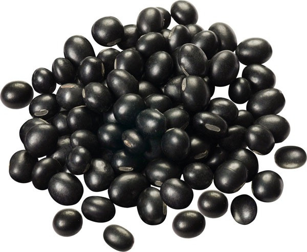Đậu đen. Rất giàu chất lượng cao protein, chất béo và carbohydrate. Ngoài ra, nó chứa một loạt các chất dinh dưỡng như canxi, phốt pho, sắt và carotene, vitamin B1, B2, B12 ... thành phần dinh dưỡng giữa đậu đen và đậu tương là tương đương nhau, nhưng hàm lượng protein cao hơn so với đậu tương.