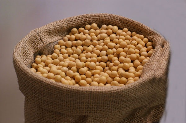 Đậu tương. Chứa protein phong phú, chị em có thể thay thế cho các protein động vật. Nó cũng đồng thời làm giảm cholesterol trong máu, tăng cường sức khỏe xương và thúc đẩy chức năng thận. Đậu cũng có chứa nhiều vitamin, canxi và hàm lượng estrogen.