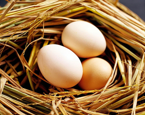 Cẩn thận hơn, bạn có thể dùng một cây tăm đâm vào lòng đỏ. Nếu tăm đứng thẳng thì trứng còn tươi. Ảnh: giadinh.
