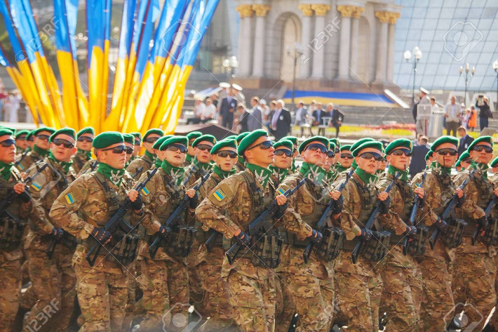 Chuyên gia Radin, người đã viết các khuyến nghị về cải cách lĩnh vực an ninh cho chính phủ Ukraine, mô tả lực lượng hiện tại của Ukraine là "một quân đội thiện chiến kể cả các đơn vị lính tình nguyện ... cũng như khá nhiều cựu chiến binh vẫn sẵn sàng tái ngũ".