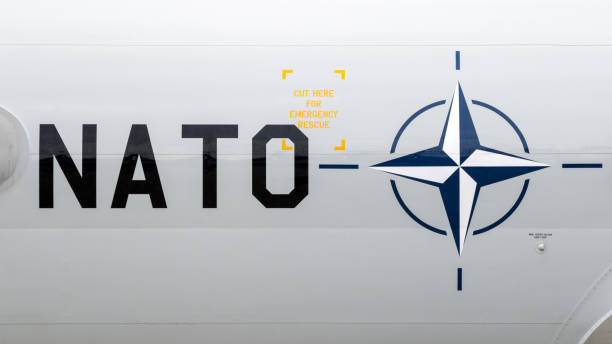 Sau khi thành lập NATO, Mỹ tiếp tục sử dụng hệ thống định danh riêng liên quan đến các thiết bị quân sự phức tạp của các đối thủ, trong đó có Liên Xô và Trung Quốc. Tiêu chí cho việc định danh rất đơn giản; theo đó tên gọi phải dễ phát âm và dễ nhớ, và quan trọng là không khó khăn trong việc truyền đạt trên các phương tiện thông tin.