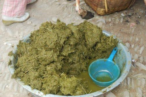 Đầu bếp sẽ chế biến hỗn hợp cỏ chưa tiêu hóa hết cùng mật bò và gia vị, sau đó đun sôi rồi thưởng thức như lẩu. Ảnh: 24h.