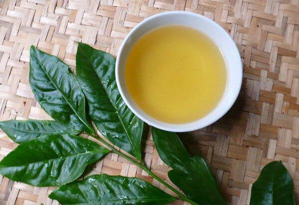 Thậm chí những chất chống oxy hóa này còn có thể bảo vệ mô phổi khỏi tác hại của tình trạng hít phải khói thuốc. Ảnh: giadinh.