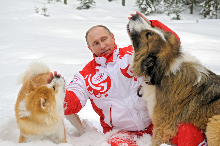 Nhà lãnh đạo Vladimir Putin với các chú chó Buffy (phải) và Yume (bên trái) trong cuộc dạo chơi ở ngoại ô Moscow. Ảnh: Aleksei Druzinhin/RIA Novosti.
