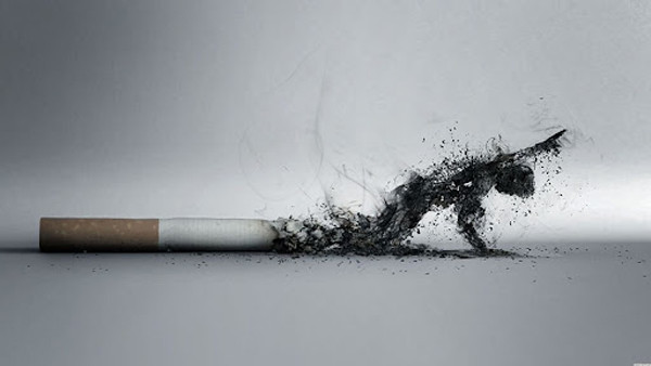 Hút thuốc, uống rượu. Hút thuốc rất có hại cho sức khỏe. Khi hút, các chất độc hại trong thuốc lá có thể gây hại cho nhiều cơ quan của cơ thể, bao gồm cả thận.