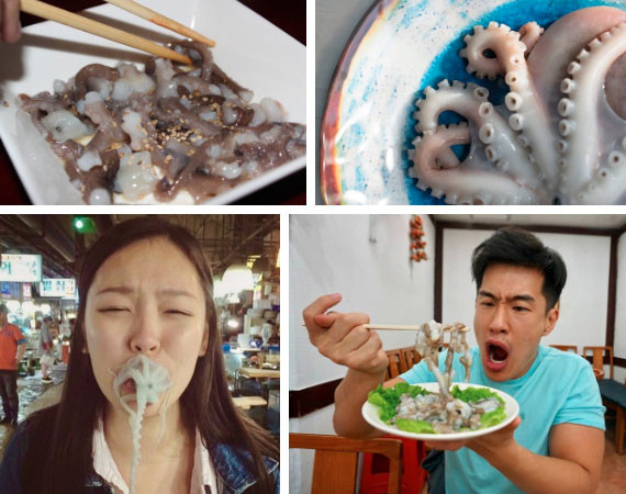 Có trường hợp có người phụ nữ còn bị bạch tuộc sinh con ngay trong miệng. Tuy nhiên món ăn này vẫn được rất nhiều người ưa thích vì độ ngọt, tươi của bạch tuộc.