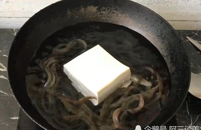 Ban đầu đàn cá chạch tung tăng bơi lội giữa miếng đậu phụ như không có chuyện gì xảy ra.