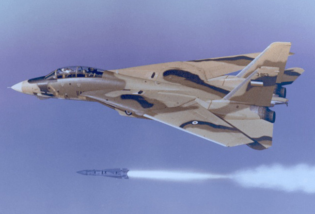 Phi đội F-14 đã ghi được nhiều chiến công không chiến, với tên lửa Phoenix tầm xa, mang lại lợi thế quan trọng trong các cuộc giao tranh. Các phi công Iran đã thích nghi một cách sáng tạo, với những hạn chế do lệnh cấm vận áp đặt. Những thành công của họ trong chiến đấu, đã nhấn mạnh hiệu quả của chiến đấu cơ F-14.