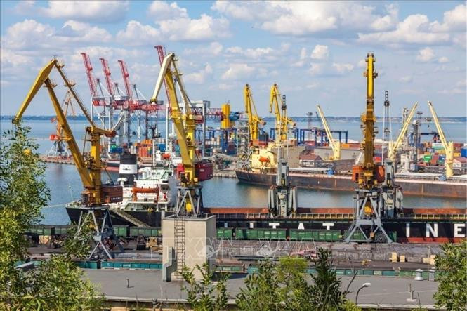 Trên mạng xã hội, những người ủng hộ Nga và Ukraine đã xảy ra xung đột dữ dội. Một số cư dân mạng Nga gọi cuộc phong tỏa này là "phòng thủ hợp pháp": "AFU sử dụng cảng này để vận chuyển vũ khí của NATO, và RFAF có quyền cắt đứt tuyến tiếp tế chiến tranh này". Những người ủng hộ Ukraine đáp trả: "Việc chặn các cảng dân sự là vi phạm luật pháp quốc tế ".