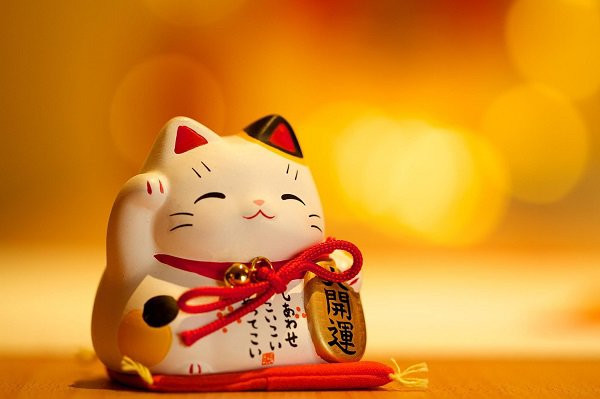 Tuổi Mão quá chủ động trong chuyện tình cảm có thể khiến đối phương sợ hãi. Hãy chú ý đến quá trình thay vì chỉ chăm chăm kết quả. Trong công việc con giáp này hãy chuẩn bị tốt các phương án dự phòng để kịp thời đối phó mọi tình huống, nhờ vậy sẽ có tài lộc.