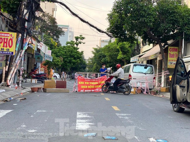 Cả chậu cây cảnh cũng được huy động.