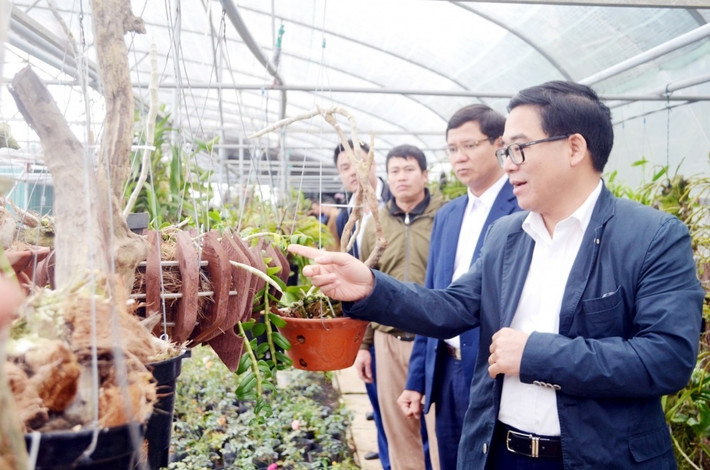 Tháng 8/2020, Ông Đỗ Đình Hồng - tiếp tục được tín nhiệm bầu giữ chức Bí thư Huyện ủy Mê Linh khóa XI, nhiệm kỳ 2020 - 2025. (Trong ảnh, ông Hồng khi còn làm Bí thư huyện ủy Mê Linh)