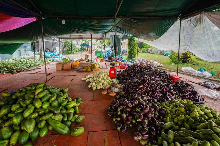 Thầy Thích Minh Phú cho biết mỗi ngày bếp thiện nguyện chi hơn 200 triệu đồng để mua lương thực, thực phẩm. Trung bình một ngày, nhà chùa nấu khoảng 2 tấn gạo, xử lý 1,5 tấn rau. Lúc cao điểm, bếp nấu 26.000 suất ăn mỗi ngày để phục vụ các đơn vị trên toàn thành phố.