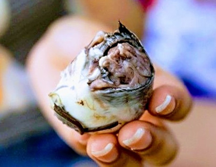 Trứng vịt lộn của Việt Nam luôn nằm trong danh sách.