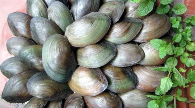 4. Canh trai nấu cà chua với sấu. Nguyên liệu: Trai, cà chua, sấu, hành khô, gừng, ớt tươi, hành lá, gia vị. Trai cọ sạch rồi luộc cùng bột canh cho mở hết miệng, bắc xuống. Gạn nước riêng và tách nhân trai vào đĩa rồi lần lượt loại bột cặn trong trai sau đó rửa sạch. Ảnh: Zing.vn.