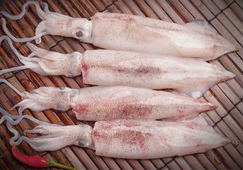 4. Mực nhồi thịt bỏ lò. Nguyên liệu: Mực ống to, thịt lợn nạc, mỡ khổ, nấm hương, mộc nhĩ, hành củ khô, tỏi khô, miến, khoai tây, bột đao, rau mùi, mỡ nước, mạch nha, nước mắm, muối tiêu, mì chính. Ảnh: haisannamdinh.com.