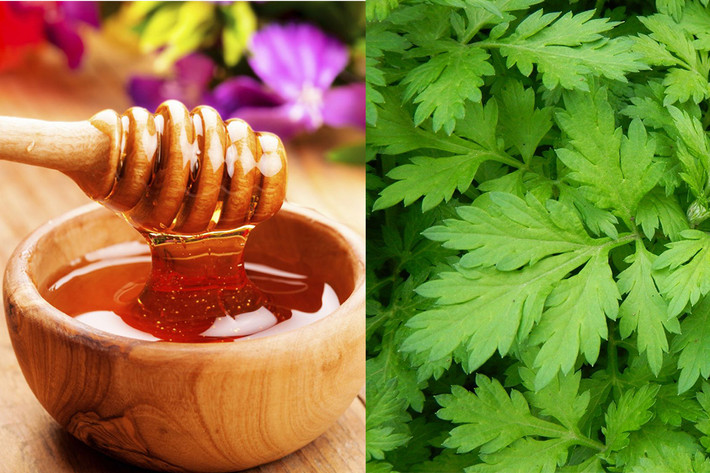 3. Sự kết hợp của ngải cứu, mật ong: Lấy 300g ngải cứu rửa sạch, giã nát, thêm 2 muỗng mật ong (ruồi, nghệ), vắt lấy nước uống trưa, chiều. Cách điều trị: Uống liên tục trong 1-2 tuần. Ảnh: chuyenkhoaxuongkhop.ne