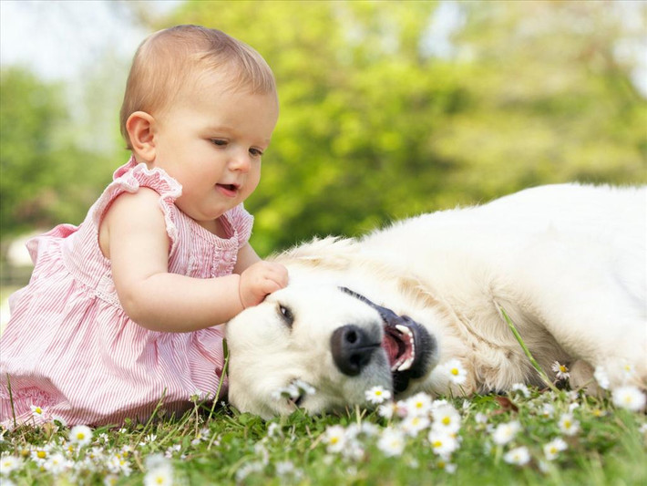 8. Nuôi thú cưng: Đó có thể là một chú chó, một con mèo, một con chim hay thỏ đều được. Đây là cách tuyệt vời để dạy trẻ những bài học về lòng tốt và trách nhiệm - những phẩm chất để trở thành một người sống đẹp. Ảnh: meocun.com.