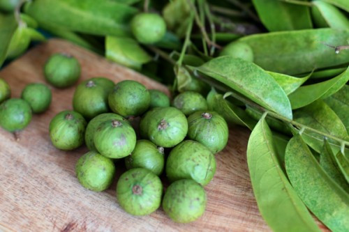 Ướp vịt cùng muối, hạt nêm, tiêu, hành, tỏi, sả 20 phút. Phi thơm hành, tỏi, sả. Trút thịt vịt đã ướp vào đảo đều, xào cho tới khi săn lại. Cho sấu vào nồi, đổ nước ngập thịt rồi đậy vung lại nấu. Ảnh: Chuyenphatnhanhdiquocte.com.