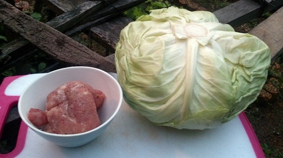 2. Bắp cải cuộn thịt sốt cà chua. Nguyên liệu: Bắp cải, thịt nạc băm, nấm mộc nhĩ, miến, cà chua, muối, đường, hạt tiêu, hành khô, hạt nêm, hành lá, tỏi. Bắp cải rửa sạch, tách bẹ, dùng dao cắt bỏ bớt phần sóng lưng. Hành lá rửa sạch, để ráo. Mộc nhĩ cắt bỏ chân, miến ngâm nở, thái nhỏ. Ảnh: toinayangi.vn.