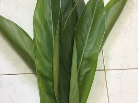 Bài thuốc từ lá riềng: Mẹ lấy một nắm lá riềng, cọ sạch phần lông trên mặt lá rồi cho vào nồi đun lấy nước cho bé tắm. Lá giềng rất lành và có tác dụng nhanh chóng trong việc chữa mụn kê ở trẻ nhỏ. Ảnh: cookpad.com.