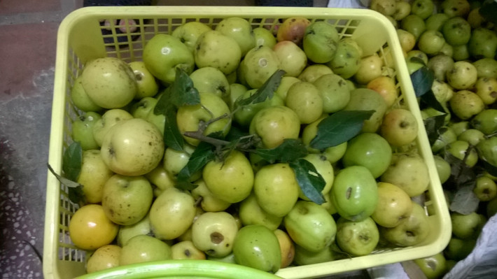 2. Dấm táo. Nguyên liệu: Táo (có thể dùng táo đỏ, táo xanh, táo mèo), đường, nước lọc, hũ, vải mỏng. Cho táo đã rửa sạch, cắt miếng vào chiếc âu lớn bằng sứ, thủy tinh. Cho vừa đủ nước ngập táo (thừa ra khoảng 5 cm), cho tiếp đường và khuấy đều. Ảnh: taomeoyenbai.net.