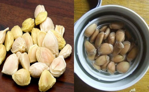 3. Hạt bưởi: Chọn lấy khoảng 100g hạt bưởi tươi, tức là hạt vừa lấy trong quả bưởi ra và để nguyên. Đổ vào cốc khoảng 200ml nước sôi, cho hạt bưởi vào rồi đậy kín và ủ trong khoảng 2-3 giờ. Chờ cho chất nhầy xung quanh hạt bưởi tan ra hết trong nước rồi chắt lấy nước và bỏ hạt. Dùng nước này để uống sau bữa ăn 2 tiếng. Mỗi ngày uống một lần. Ảnh: CumarGoldFast.vn.