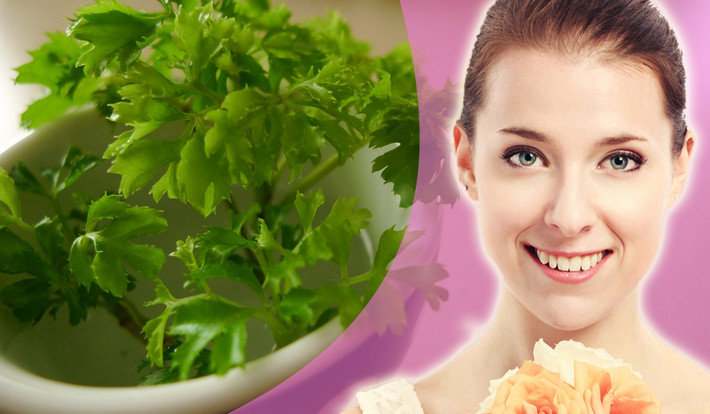 Nếu nhà có bồn tắm, nên đổ nước lá này vào bồn và ngâm mình trong nước lá khoảng 20-30 phút cho tinh chất ngấm sâu vào da cắt đứt tế bào hắc tố gây thâm, tái tạo collagen làm trắng da nhanh chóng. Ảnh: caydinhlang.com.vn.