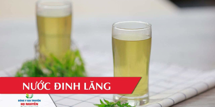 Cách dùng như sau: Lá đinh lăng rửa sạch dưới vòi nước, thái nhỏ, phơi khô và sao vàng. Mỗi ngày dùng từ 10-12g đun nhỏ lửa uống thay nước hàng ngày. Ảnh: dongyhonguyen.com.