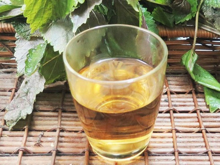 Lấy lá tía tô tươi, rửa sạch rồi đem đi phơi khô tự nhiên dưới trời nắng. Sau khi lá đã khô hoàn toàn thì hãy cho vài lá vào bình nhỏ, pha nước sôi giống như pha trà bình thường. Mỗi ngày uống khoảng 200 - 300ml là được. Ảnh: baomoi.com.
