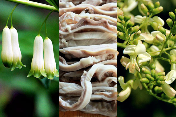 6. Dạ dày, ngọc trúc, hoa hòe. Dạ dày lợn 1 cái, hoa hòe 12g, ngọc trúc 12g, gạo tẻ 100g. Dạ dày lợn làm sạch thái miếng; sắc kỹ hoa hòe và ngọc trúc lấy nước ninh với dạ dày và gạo tẻ thành cháo, khi được chế thêm gia vị, chia ăn vài lần trong ngày. Bài thuốc dùng cho những người bị ung thư dạ dày thượng vị. Ảnh: adiva.com.vn.