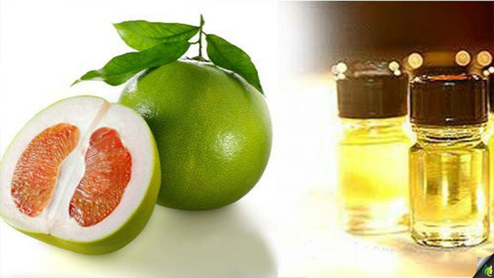 Chưng cách thủy trong ít nhất 5 giờ, để nguội ở nhiệt độ phòng. Sau đó cho vỏ bưởi vào một miếng vải lưới. Ép mạnh để lấy tinh dầu. Rót phần dầu đã lọc vào chai nhỏ để sử dụng dần cho mỗi lần gội đầu. Ảnh: .dkn.tv.