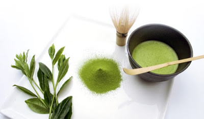 Trộn một chén nước trà xanh tươi đậm đặc và nửa chén rượu trắng cùng với 1 thìa tinh dầu dưỡng tóc (dầu dừa, dầu oliu hoặc dầu bưởi). Thoa đều hỗn hợp lên toàn bộ tóc và cả chân tóc. Ảnh: biquyetgiamcanhieuquanhat.blogspot.com.