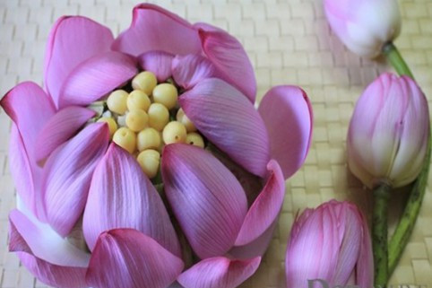 Bắc chảo lên, cho dầu vào và đợi khi dầu nóng và thả hành khô vào phi vàng thơm. Sau đó bạn cho tôm, thịt nạc, đậu Hà Lan, hạt sen, nấm, dừa tươi vào chảo, đảo qua rồi nêm gia vị vào, một ít muối ăn, mì chính, hạt nêm, tiêu xay, ớt sừng băm nhỏ, nước mắm rồi đảo lại cho đều đến khi các nguyên liệu được hòa quyện với nhau. Ảnh: Cookstar.asia.com.