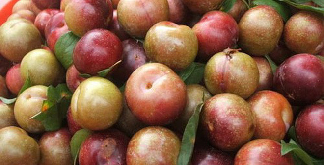 1. Mứt mận. Nguyên liệu: Mận, đường, pectin, chanh. Rửa sạch mận, gọt vỏ, thái lát nhỏ rồi bỏ hạt và ướp đường theo tỷ lệ 2 mận/1 đường. Ảnh: soha.vn.