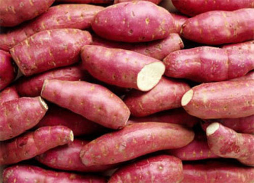 3. Chè ngô khoai lang. Nguyên liệu: Khoai lang, ngô ngọt, gạo nếp, đường. Khoai lang rửa sạch, cạo vỏ, bổ miếng vuông rồi ngâm nước cho khỏi thâm. Ngô nạo theo hướng dẫn dưới hình hoặc bạn dùng dao cắt dọc bắp nha. Ảnh: moitruong.net.vn.