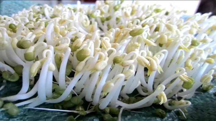 1. Canh đậu phụ giá đỗ. Nguyên liệu: Giá đỗ, cà chua, đậu phụ, thịt lợn, hành hoa. Ướp đậu hũ với hạt nêm hoặc bột canh khoảng 10 phút. Cà chua rửa sạch, bổ cau. Thịt nạc thái miếng mỏng. Ảnh: youtube.com.