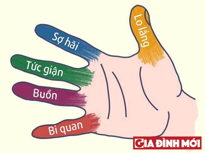 3. Ngón tay giữa: Các dây thần kinh ở ngón tay giữa có mối liên quan đến những cơn đau đầu hay cảm giác tức giận, thất vọng, mệt mỏi. Nếu bạn bị đau đầu nhẹ, hãy nắm chặt ngón tay giữa trong vòng vài phút, cơn đau sẽ dịu đi và mất dần.