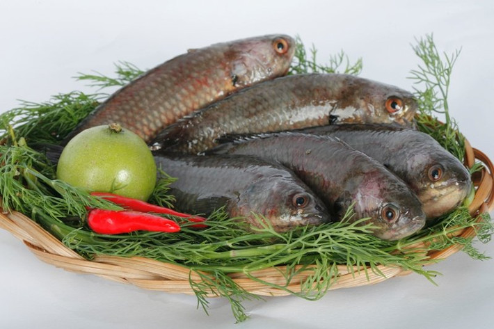 1. Cá rô canh dưa chua. Nguyên liệu: Cá rô đồng, dưa chua, cà chua, hành lá, rau ngổ, bột canh, ớt. Cá làm sạch. Cho ít dầu chiên sơ cá cho chắc thịt, thơm cá rô. Ảnh: cakholangvudai.com.