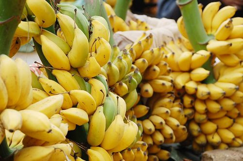1. Chuối sấy dẻo. Nguyên liệu: Chuối, lò nướng. Chuối chọn quả thật chín. Cắt chuối làm đôi, xếp vào khay nướng có lót giấy nến hoặc giấy bạc. Bật lò nướng 150 độ trước 10 phút. Ảnh: benhdaday.net.
