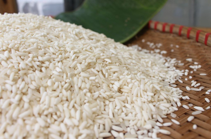 Theo kinh nghiệm dân gian, gạo nếp là loại gạo có vị ngọt thơm, mềm dẻo, tính ấm, có tác dụng bổ tỳ vị, chống hư tổn và cũng giàu chất dinh dưỡng nhất. Ảnh: phugiathucphamsach.com.