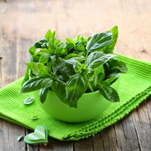 Bắc chảo lên bếp, cho tỏi băm vào phi thơm, sau đó cho tôm vào đảo đều. Khi thịt tôm săn lại và ngả màu hồng nhạt thì tắt bếp, trút tôm ra đĩa để riêng. Húng quế rửa sạch, để ráo nước, chia làm 2 phần: một phần thái nhỏ, một phần để nguyên. Cà chua hành tây thái lát. Ảnh: yeunoitro.net.