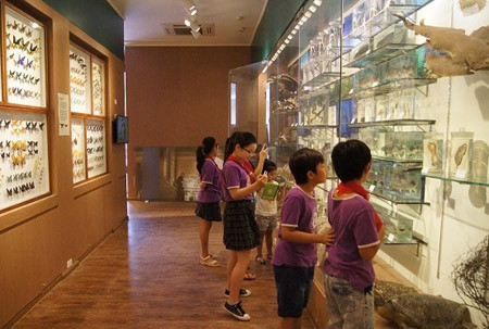 6. Viện bảo tàng. Viện bảo tàng gìn giữ rất nhiều bản sắc dân tộc, nơi trẻ có thể hòa mình vào sự tôn nghiêm, để hiểu thêm về trách nhiệm của mình sau này. Ảnh: truyenthongkhoahoc.vn.