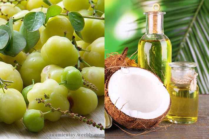 Đun hỗn hợp trên trong vòng 5 phút rồi bắc ra để nguội. Cho nước cốt dầu dừa này vào bình thủy tinh và sử dụng để thoa lên tóc hàng ngày để kích thích mọc tóc. Ảnh: dptrangminh.com.