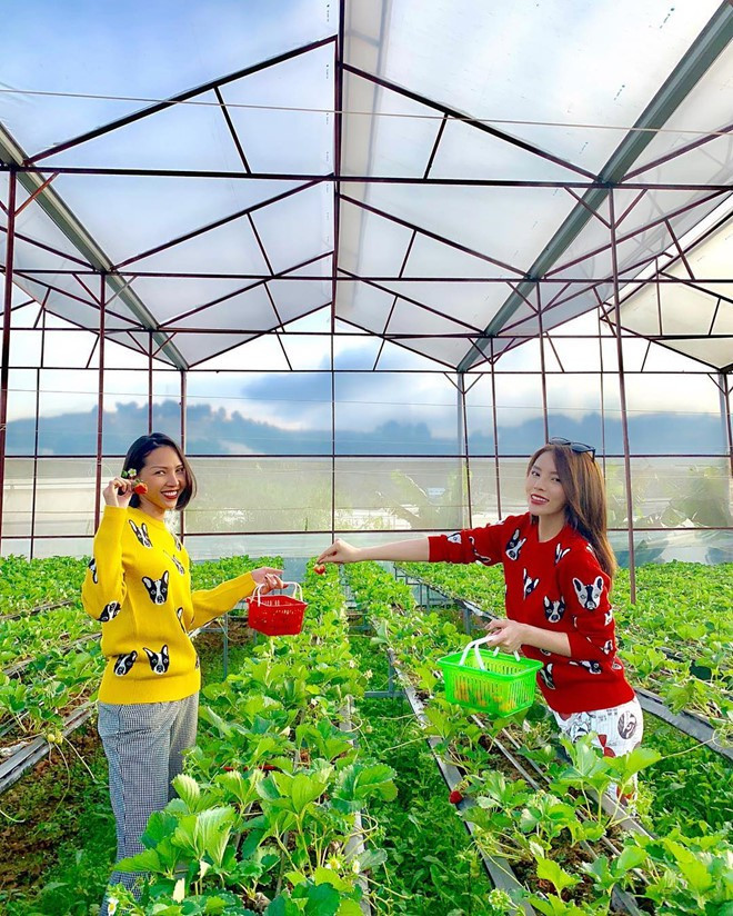 Hai chân dài thường xuyên đi du lịch cùng nhau.